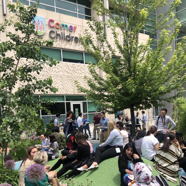 Healing Garden at Comer Children&#039;s